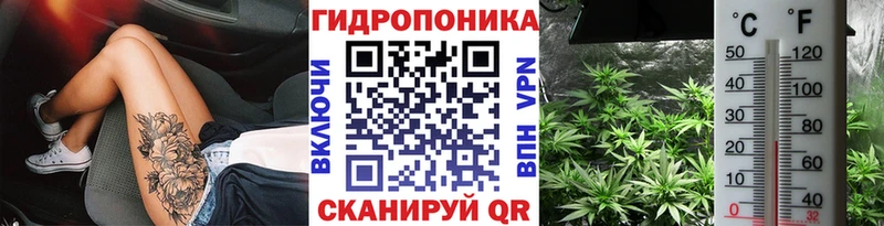 blacksprut как войти Коряжма Бошки марихуана LSD WEED